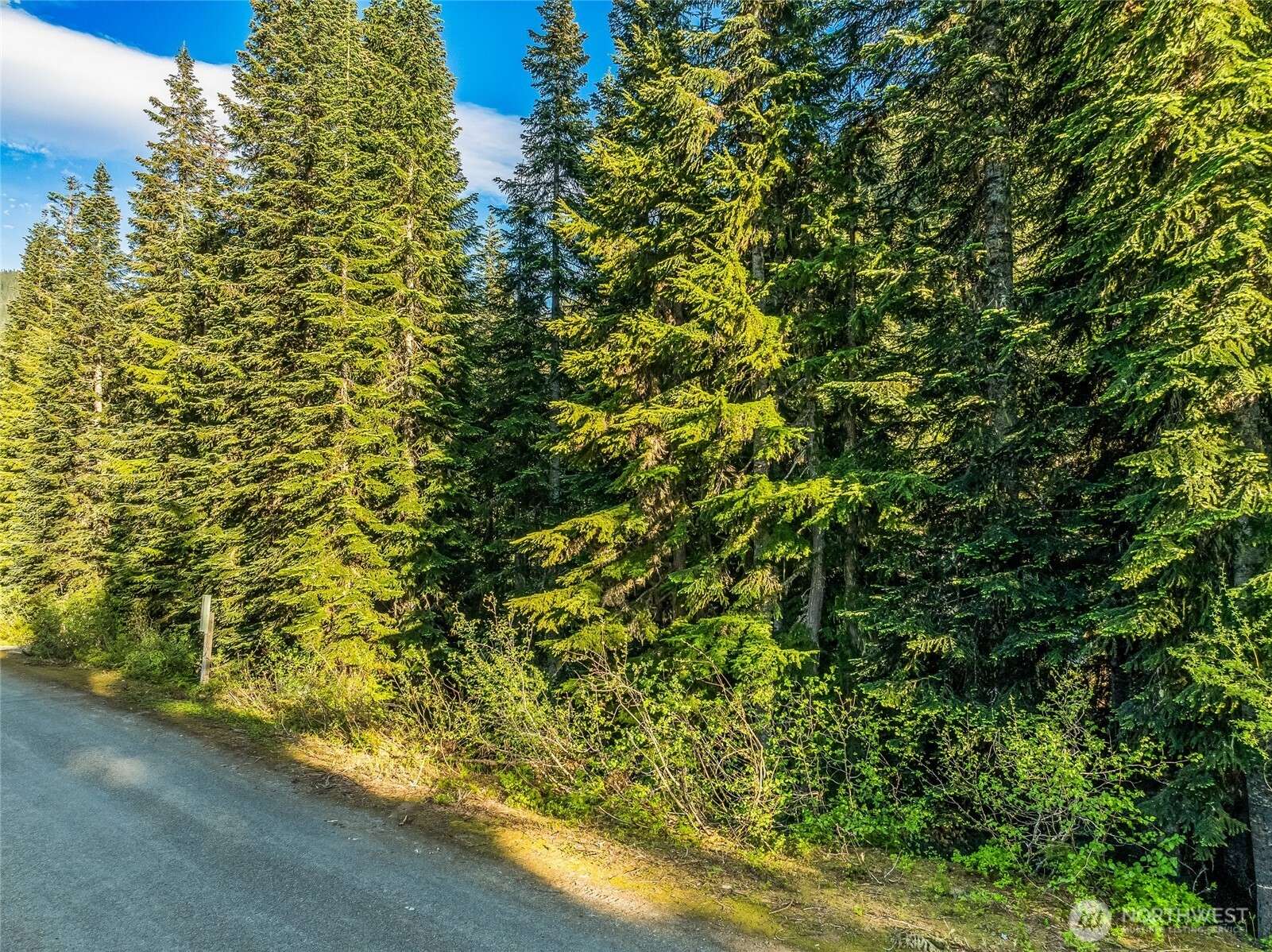 Leavenworth, WA 98826,34393 S Nason RD
