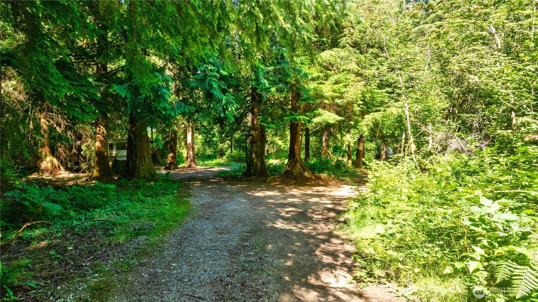 Gold Bar, WA 98251,15528 May Creek RD