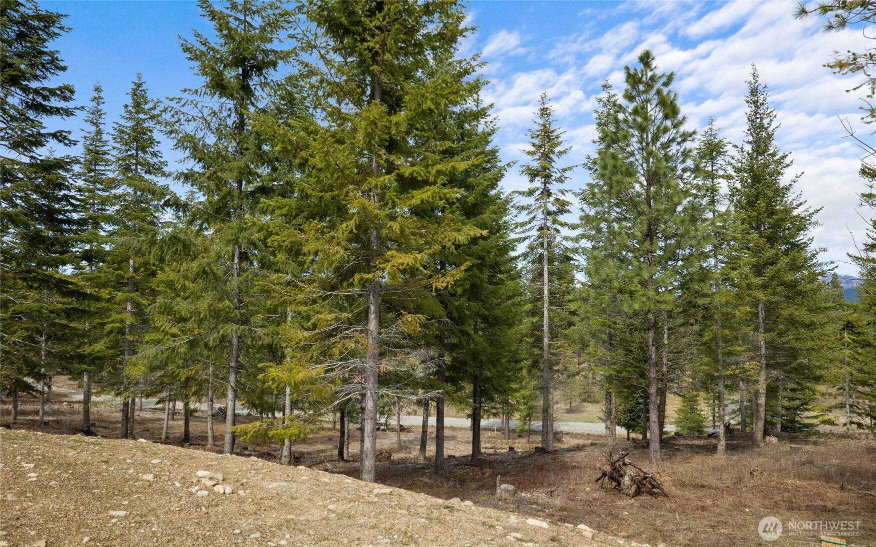Cle Elum, WA 98922,63 Liberty Bell LN