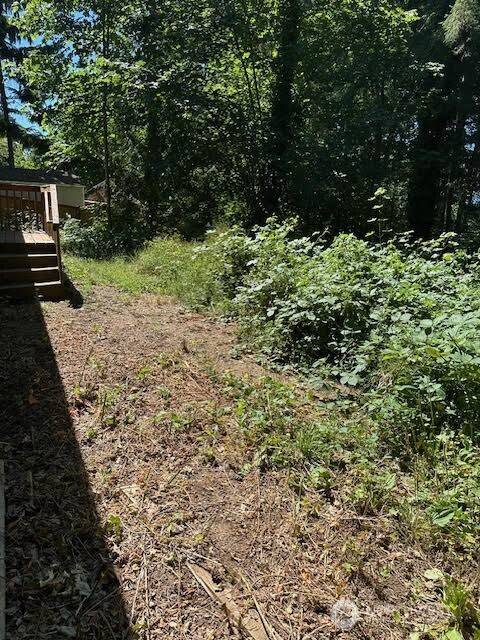 Shelton, WA 98584,540 E Wood LN