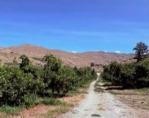 Pateros, WA 98846,0 HWY 153