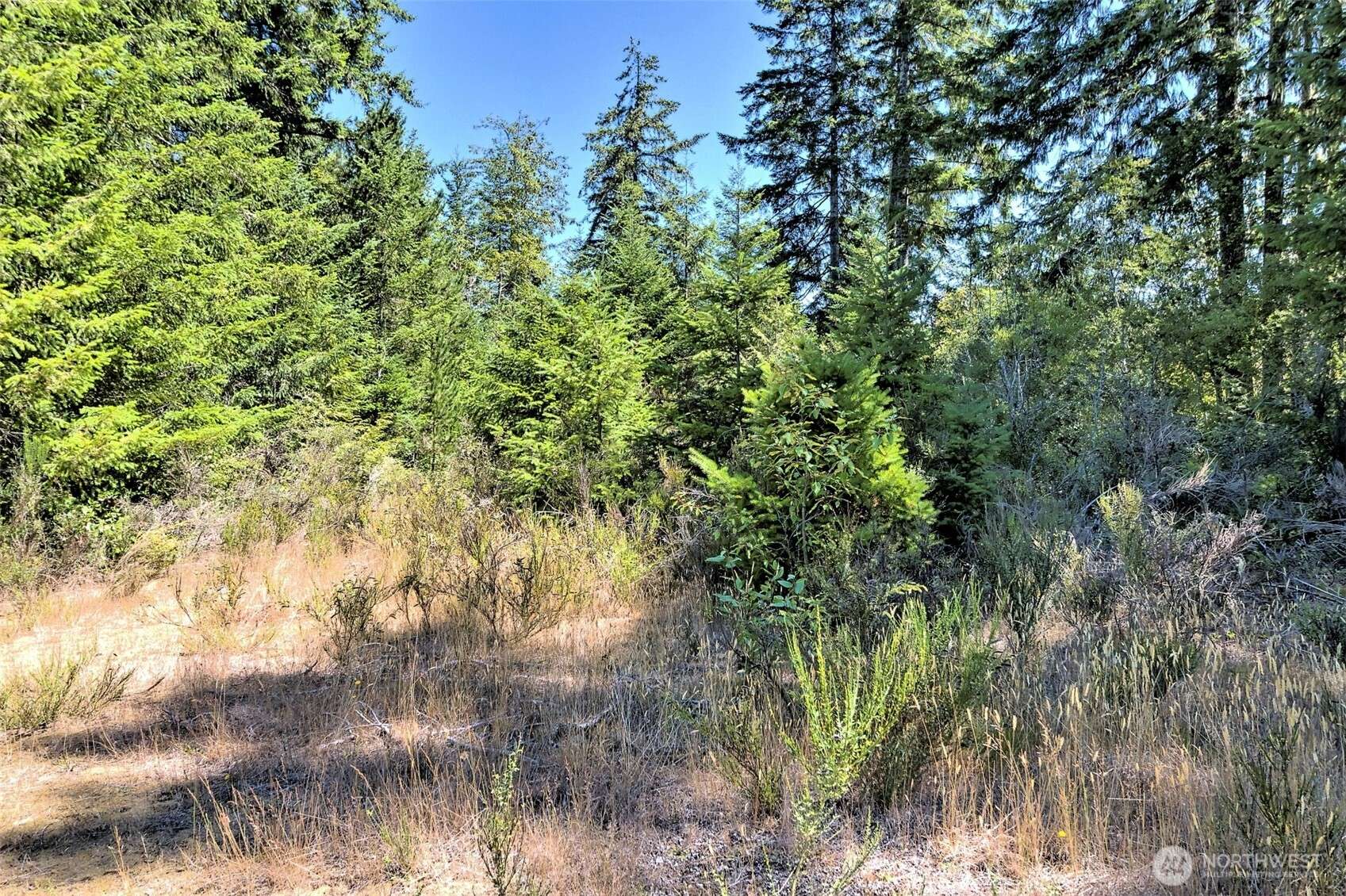 Union, WA 98592,12 Acres Webb Hill RD