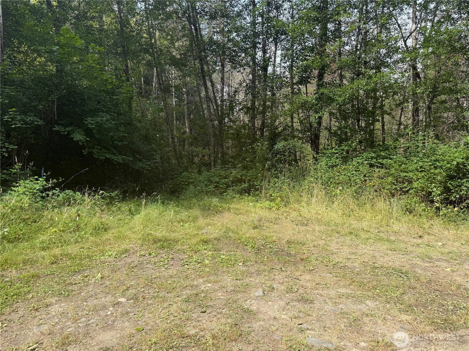 Roy, WA 98580,6810 325th Street CT S