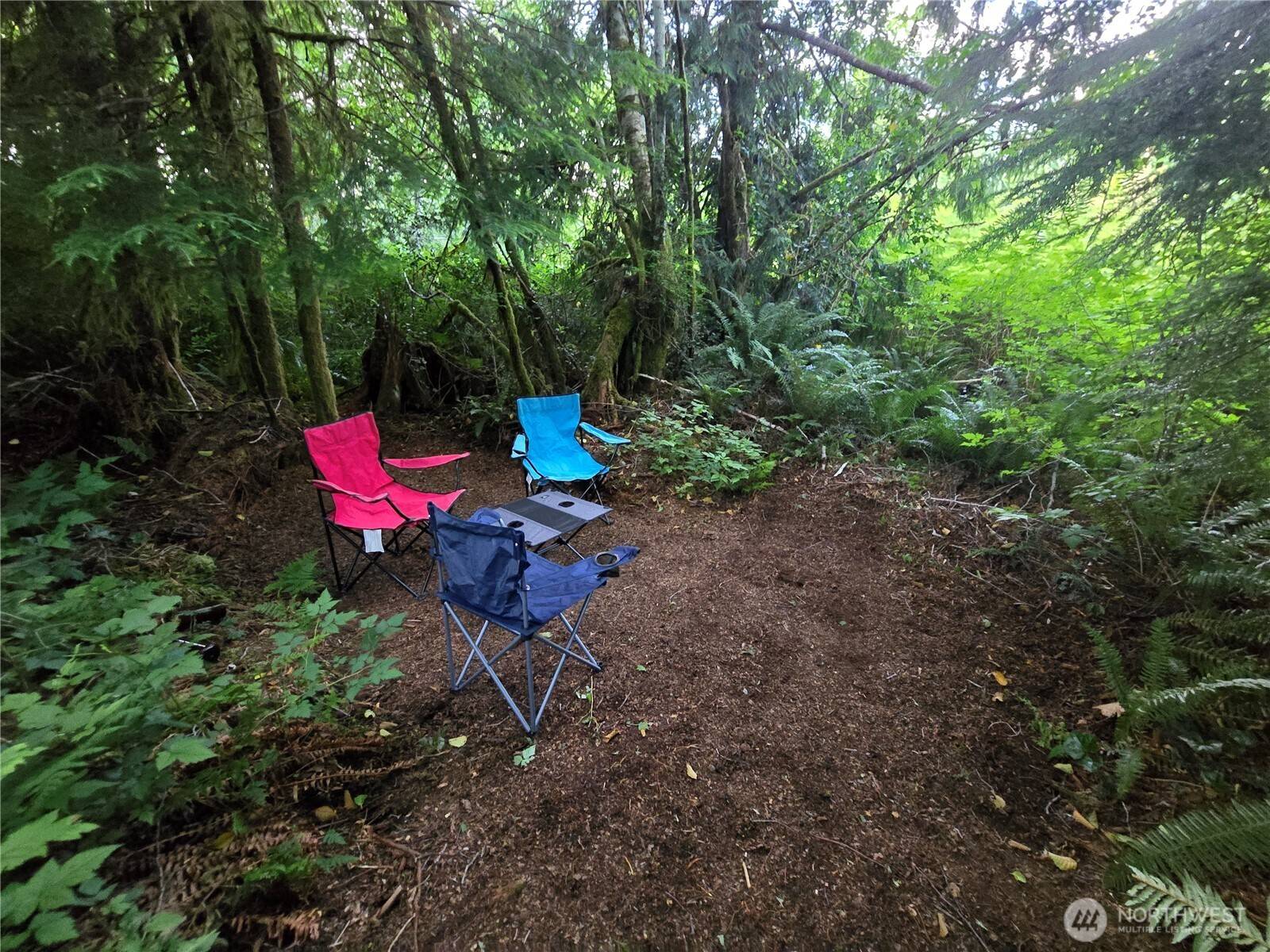 Forks, WA 98331,181327 HWY 101