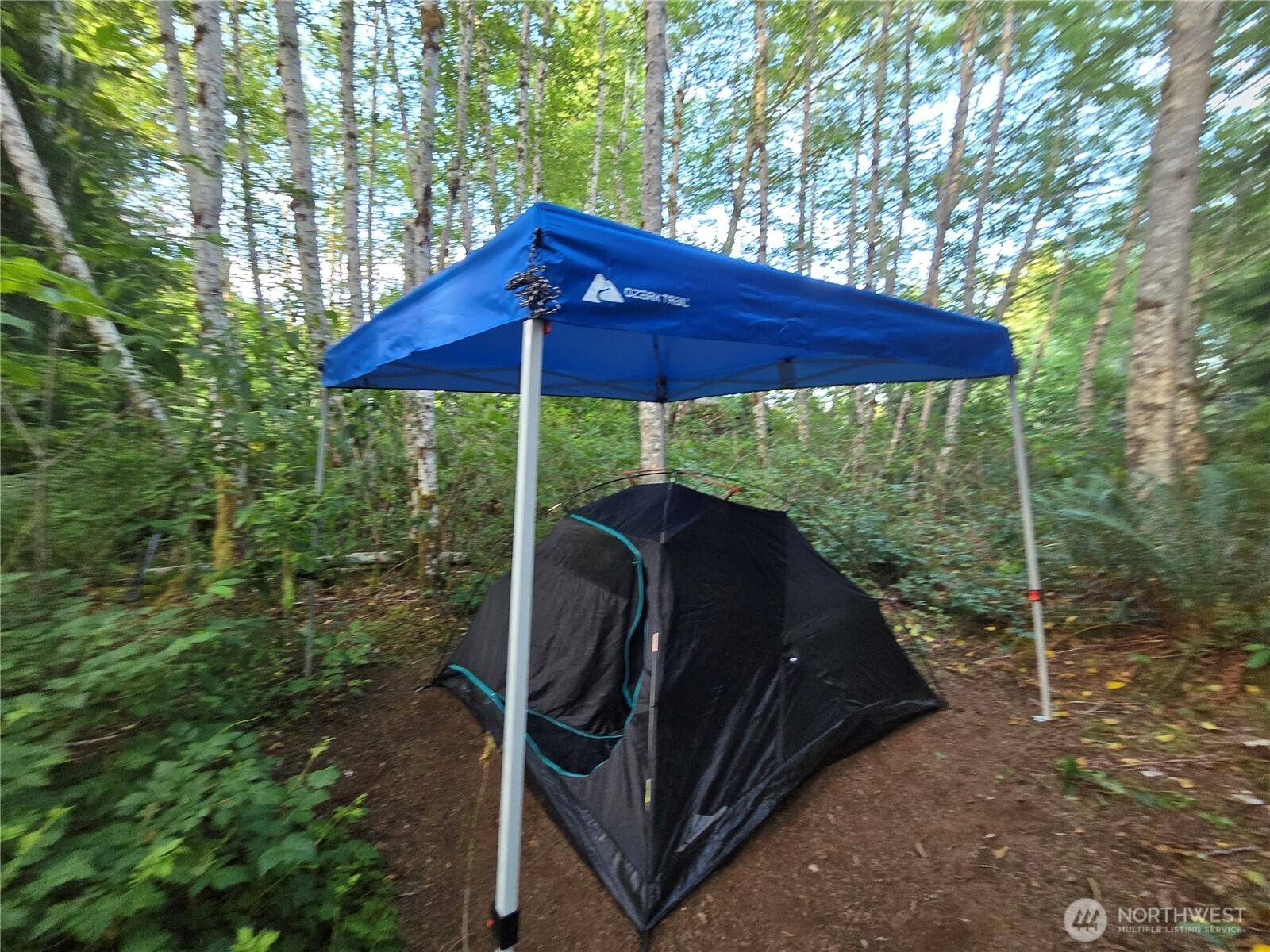 Forks, WA 98331,181327 HWY 101