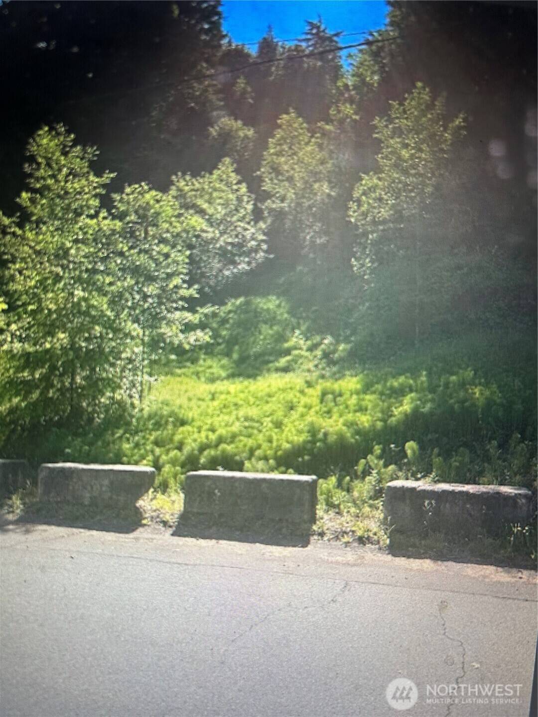Port Angeles, WA 98362,0 Cottonwood LN W