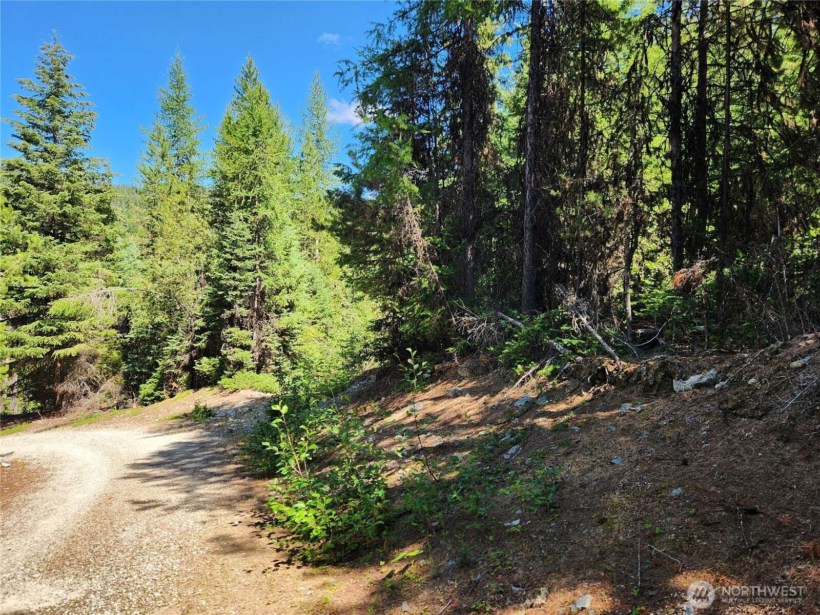 Wauconda, WA 98859,0 XX East Fork Cougar Creek RD