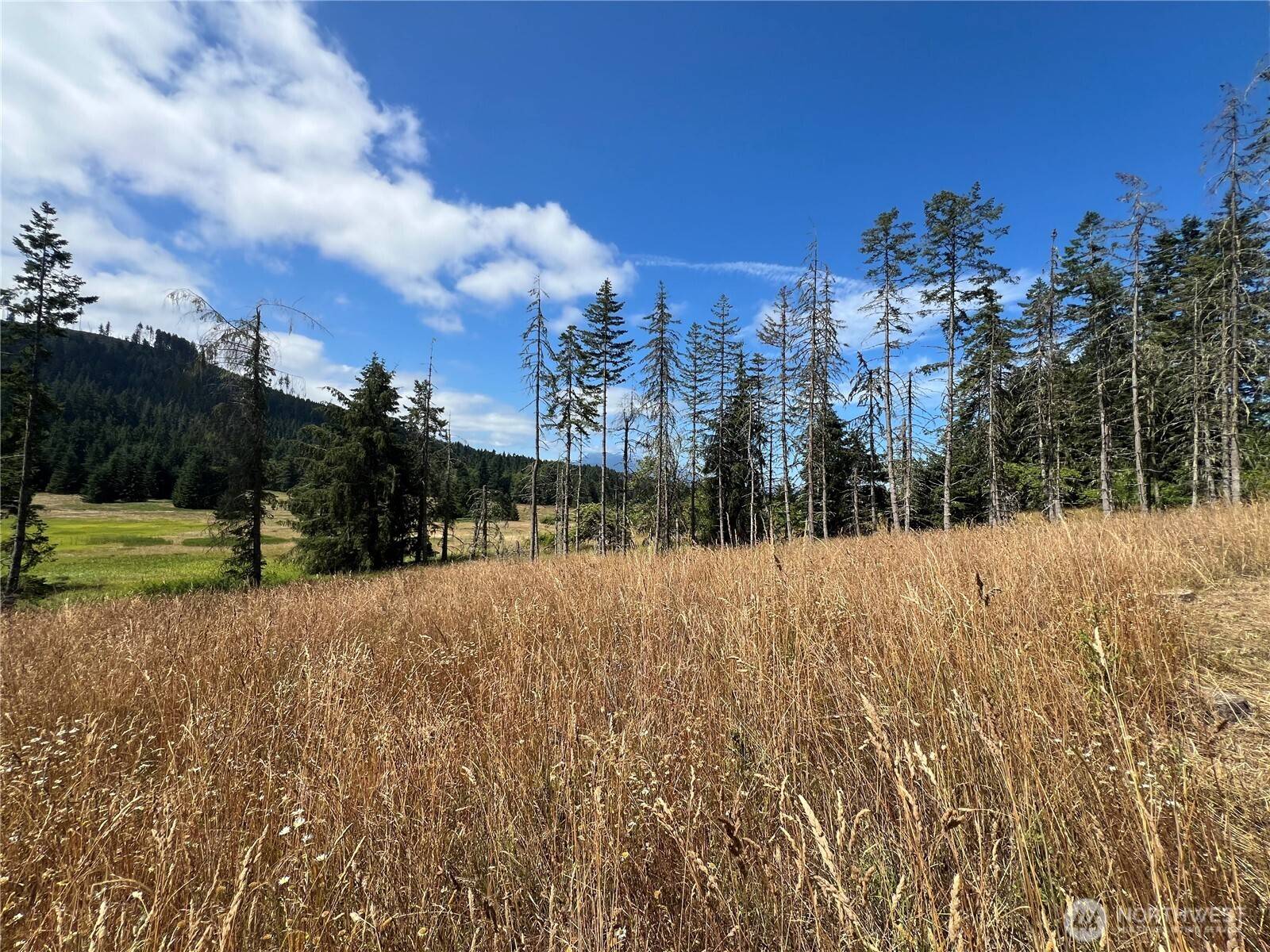 Sequim, WA 98382,352 X Lost Mountain RD