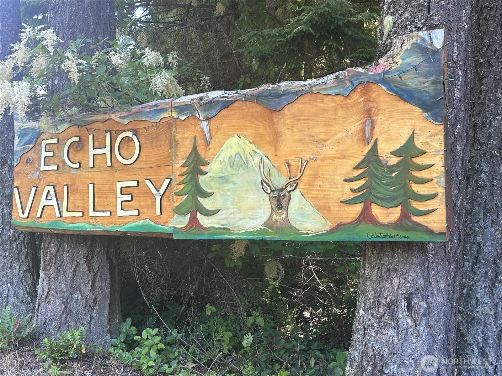 Ashford, WA 98304,56002 E 317th AVE E