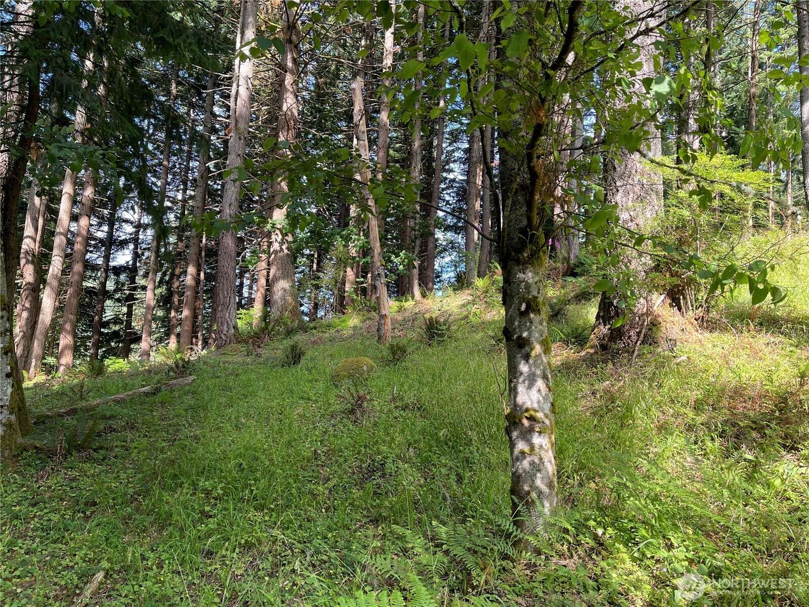 Bellingham, WA 98229,63 Valley Crest WAY