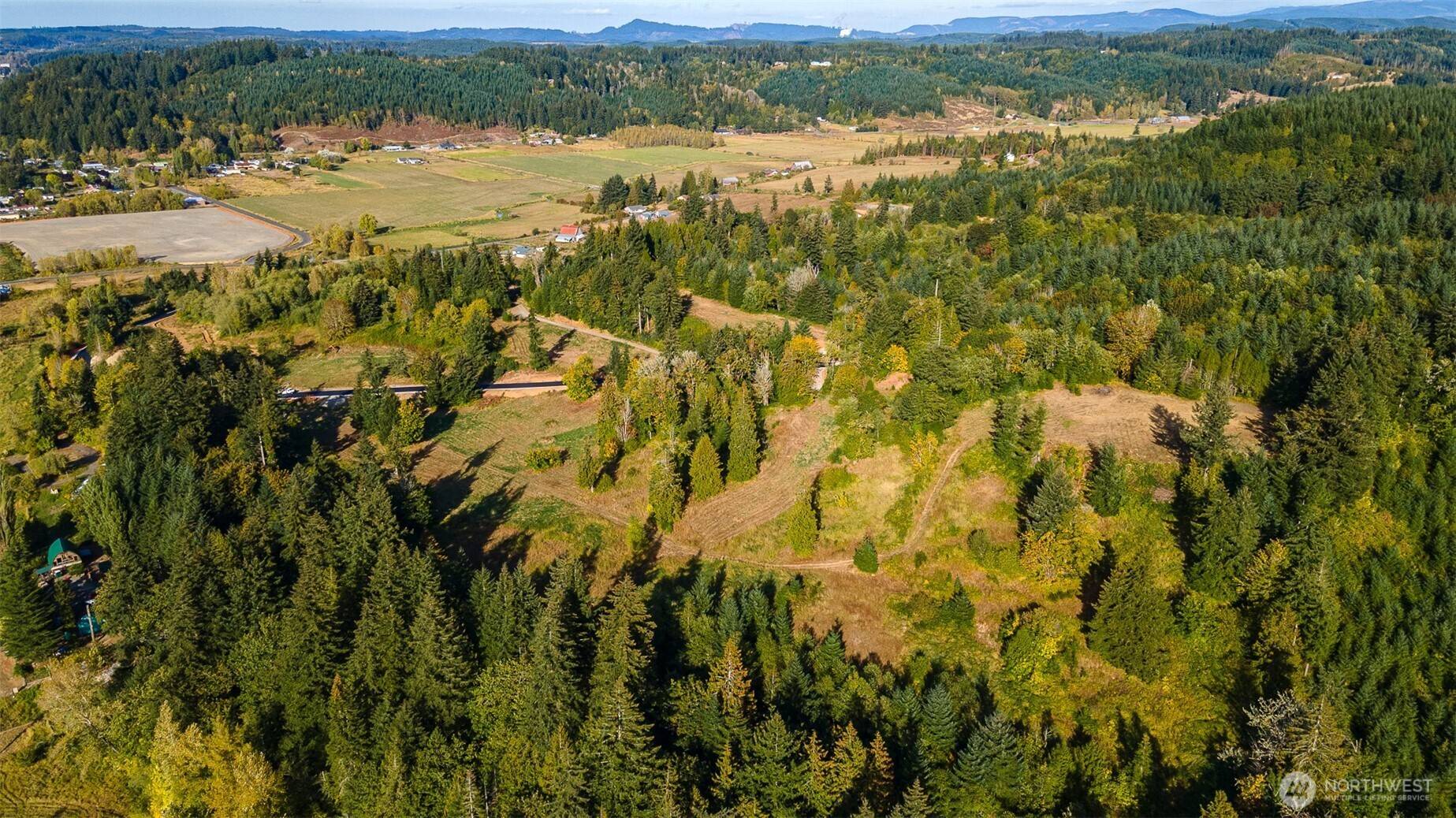 Centralia, WA 98531,1970 Salzer Creek DR #Lot 9