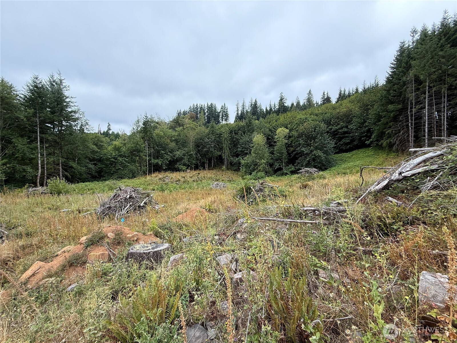 Longview, WA 98632,191 Northridge
