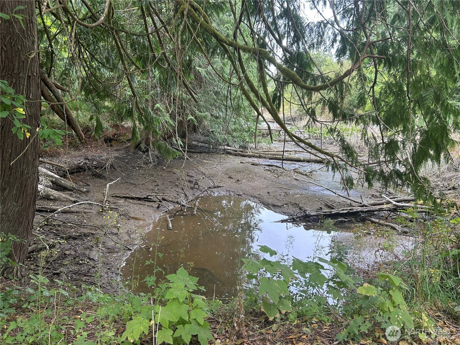 Longbranch, WA 98351,19401 Whiteman Cove RD SW