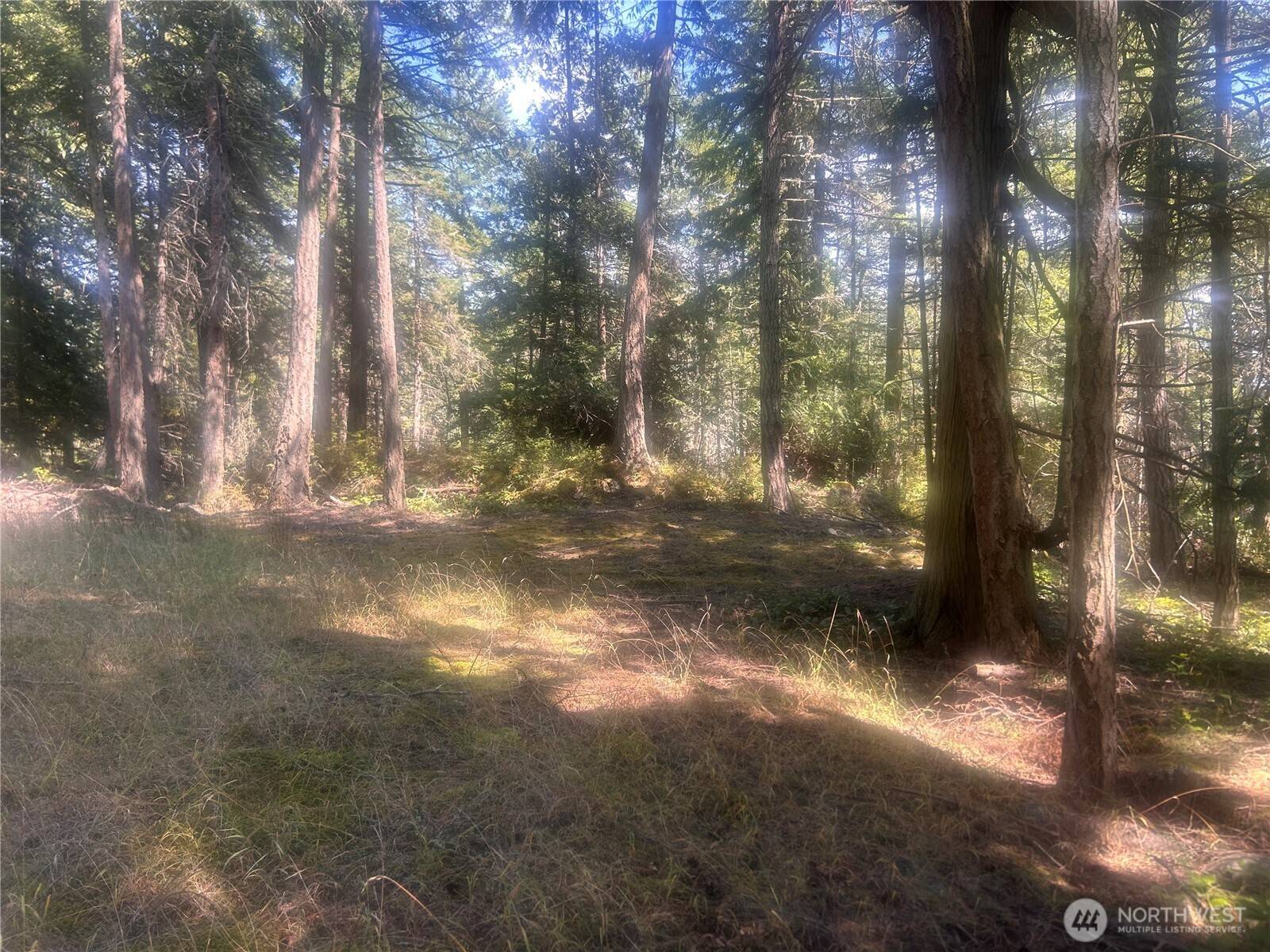Crane Island, WA 98243,0 XX Rocky Road