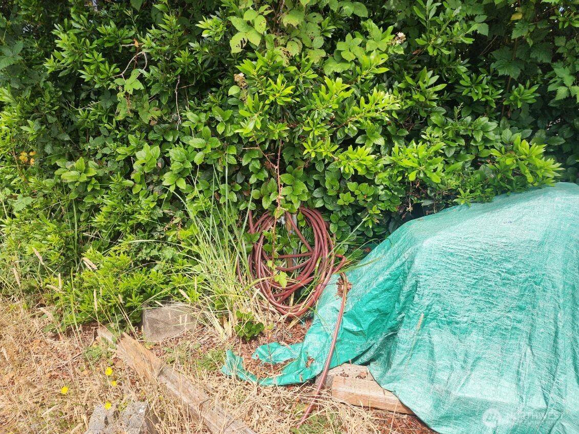 Ocean Shores, WA 98569,339 Sand Dune AVE NW