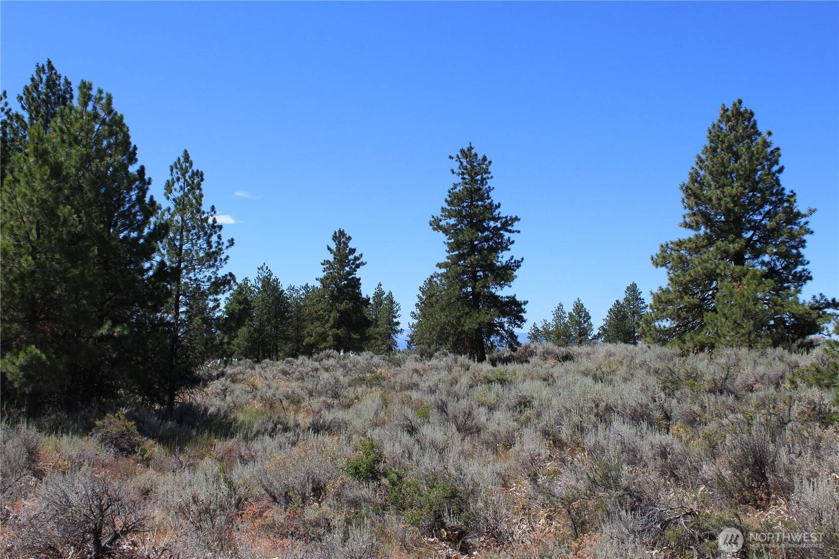 East Wenatchee, WA 98802,202 Falcon Ridge RD