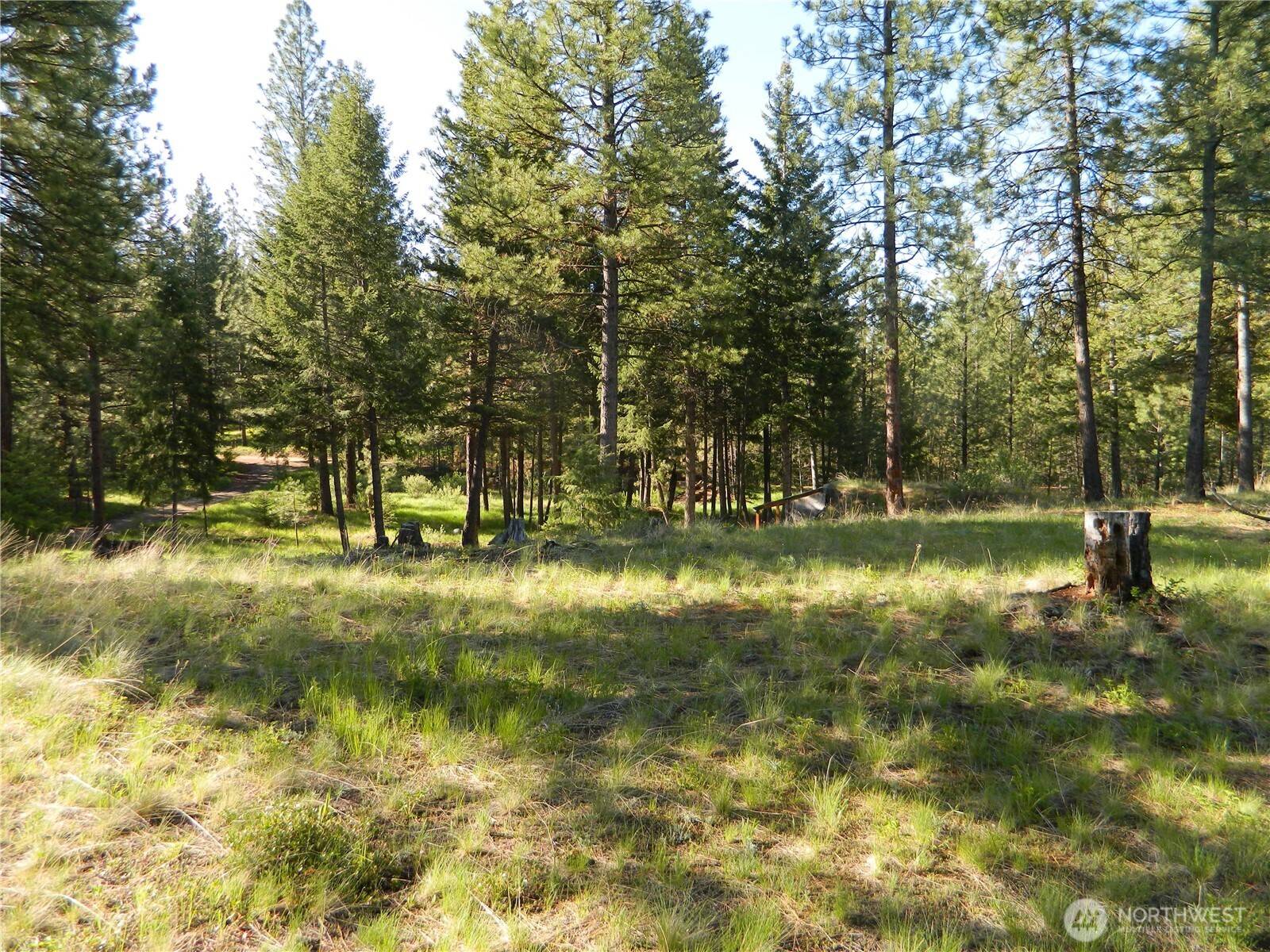 Tonasket, WA 98855,151 Indian Mary Loop RD