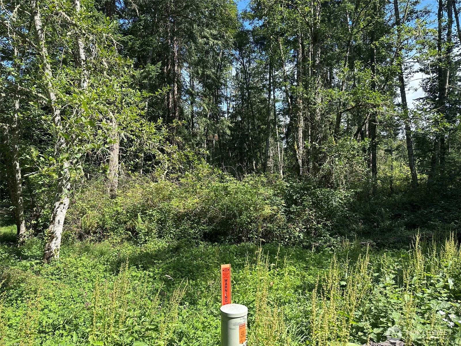 Sequim, WA 98382,144 Took A Look LN