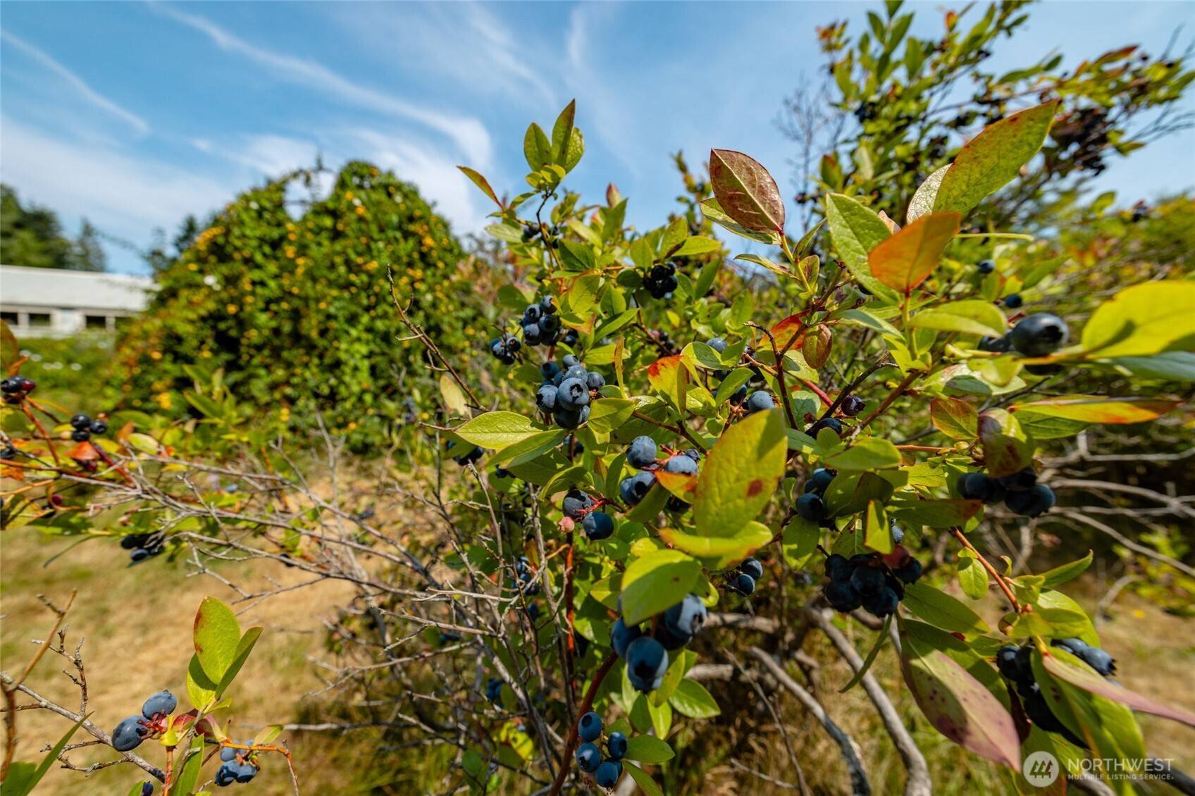 Sedro Woolley, WA 98284,22563 Rhodes RD