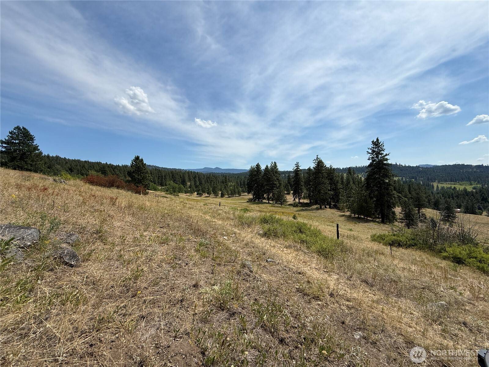 Republic, WA 99166,0 Lot 19 Seth LN