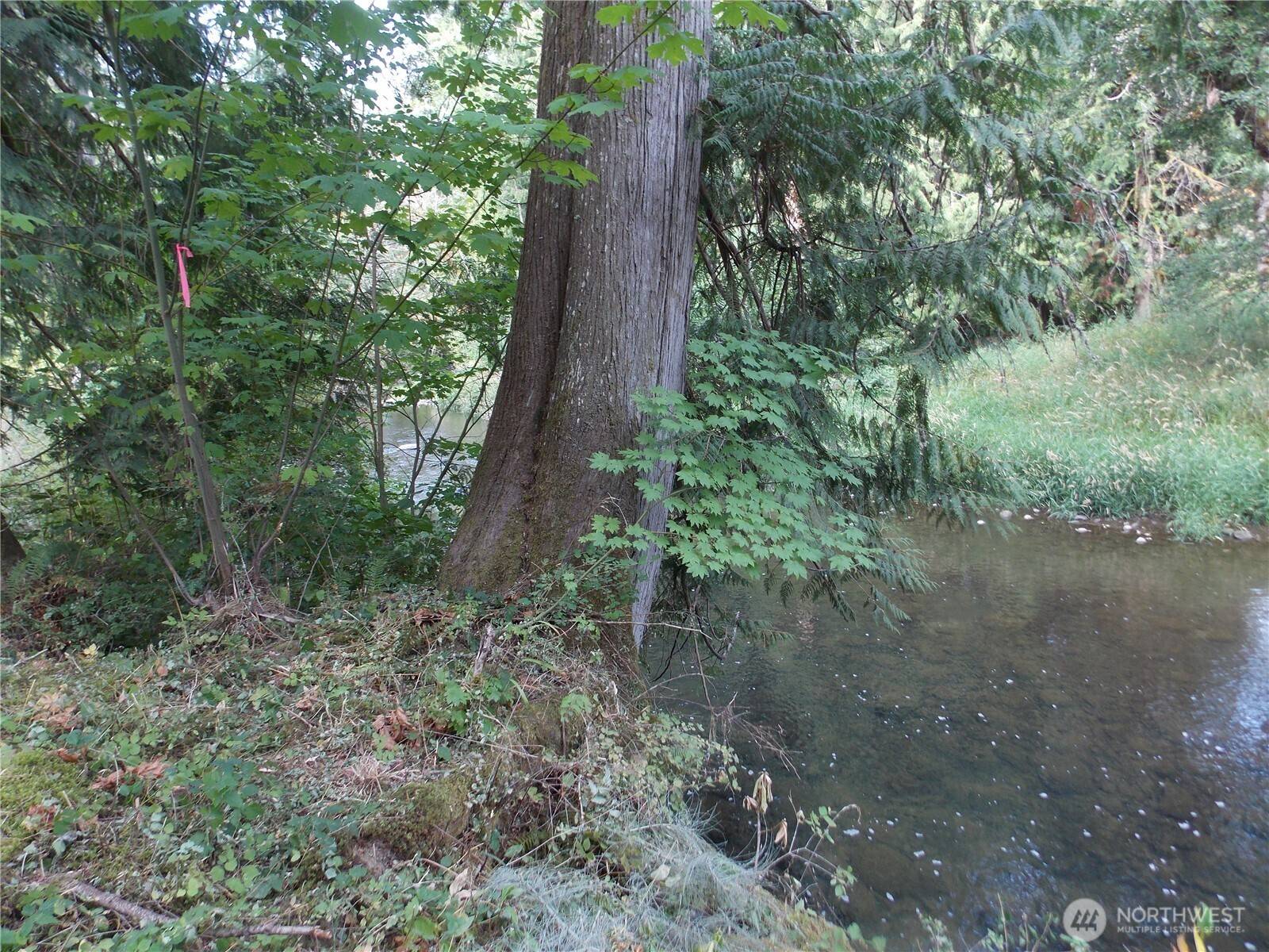 Rainier, WA 98576,16548 Village DR SE