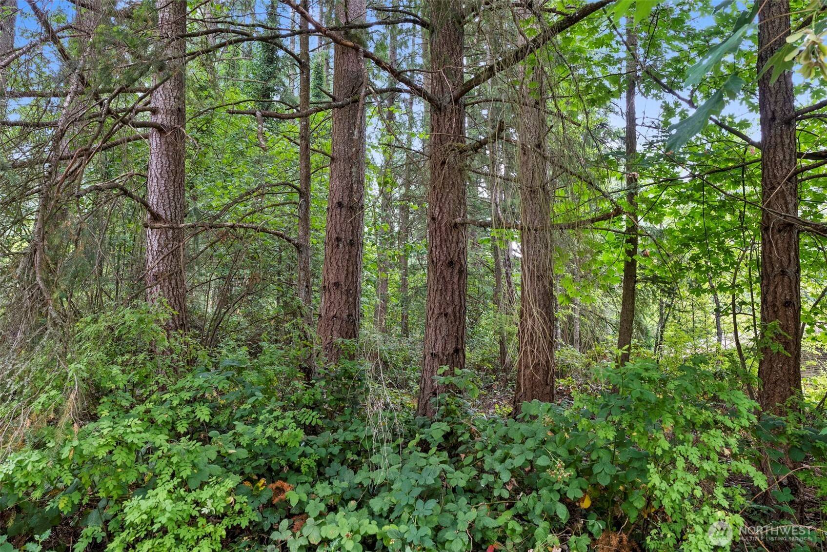 Chehalis, WA 98532,0 SE Carlesta AVE