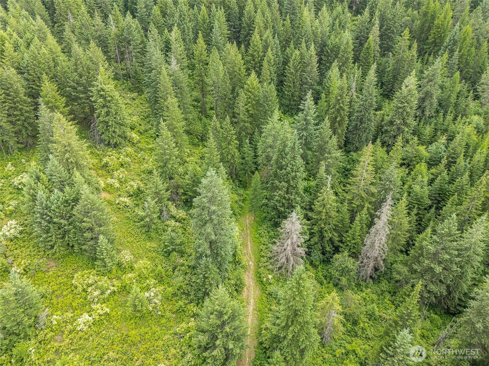 Mead, WA 99021,19960 N Mt Spokane Park Dr