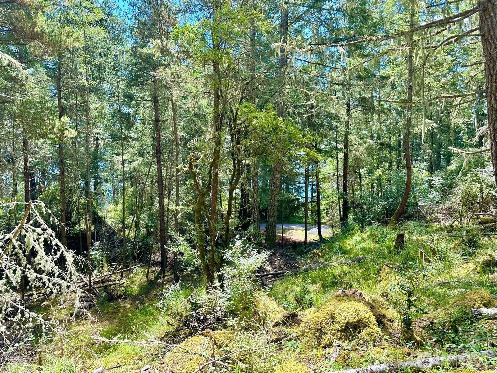 Orcas Island, WA 98279,0 Lot B Pioneer Hill RD