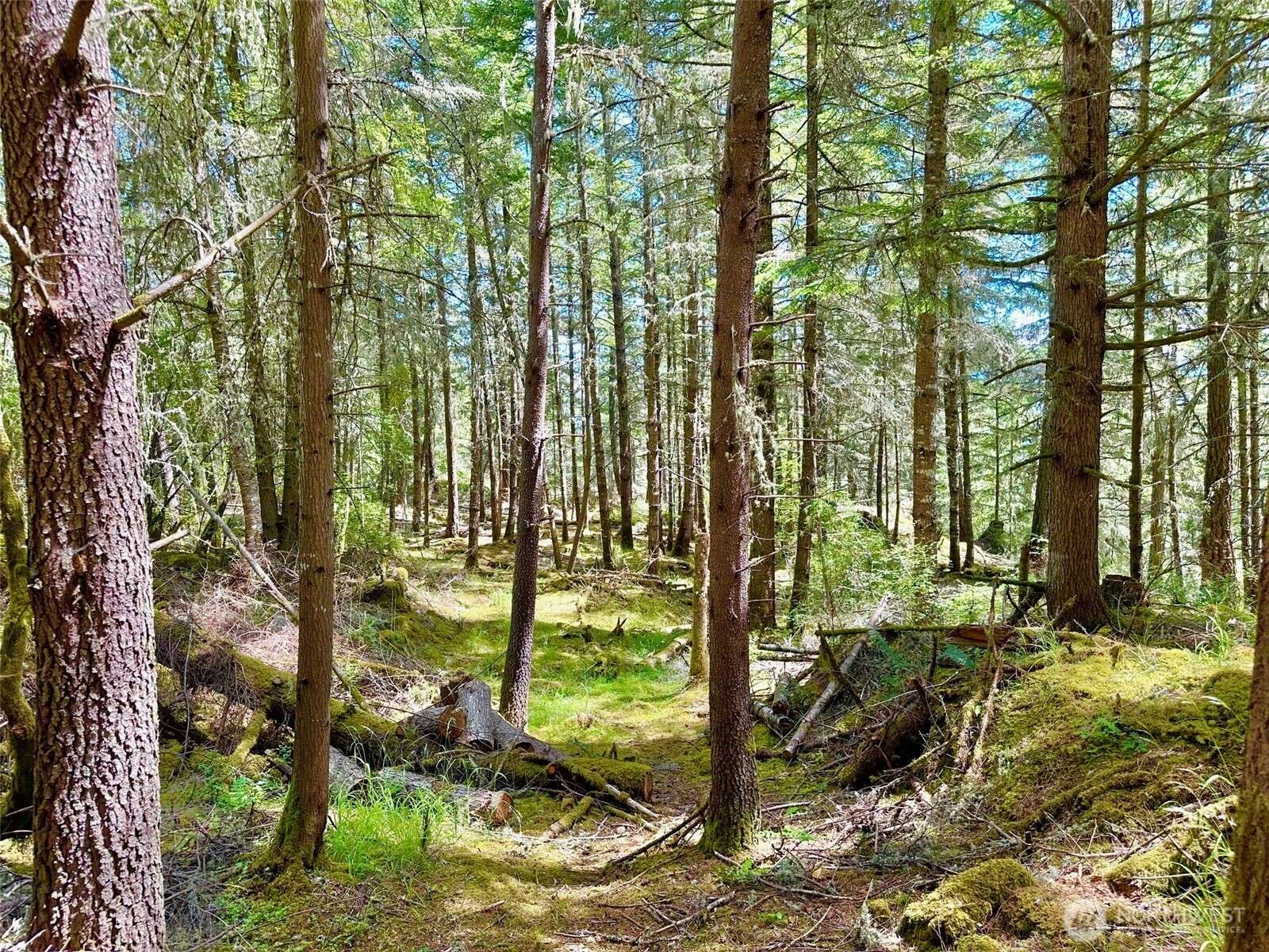 Orcas Island, WA 98279,0 Lot B Pioneer Hill RD