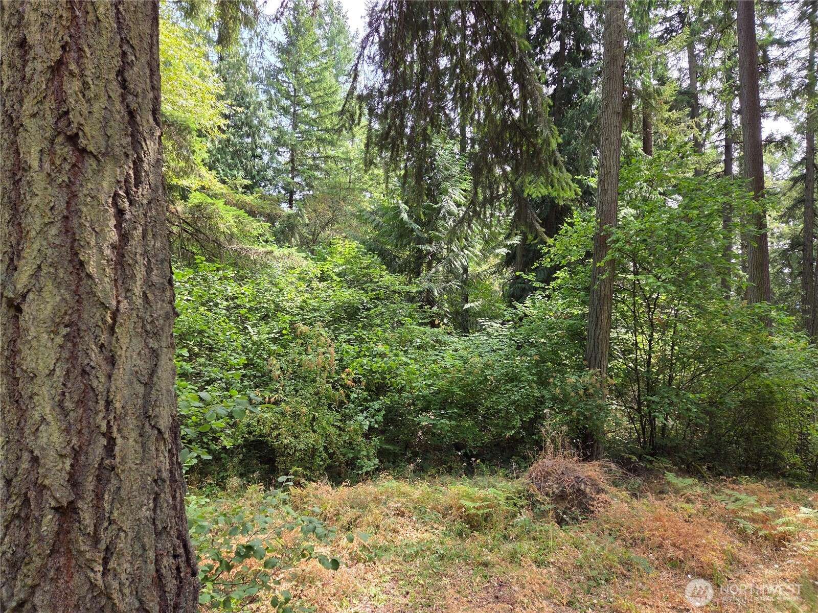 Yelm, WA 98597,22041 Clear Lake BLVD SE