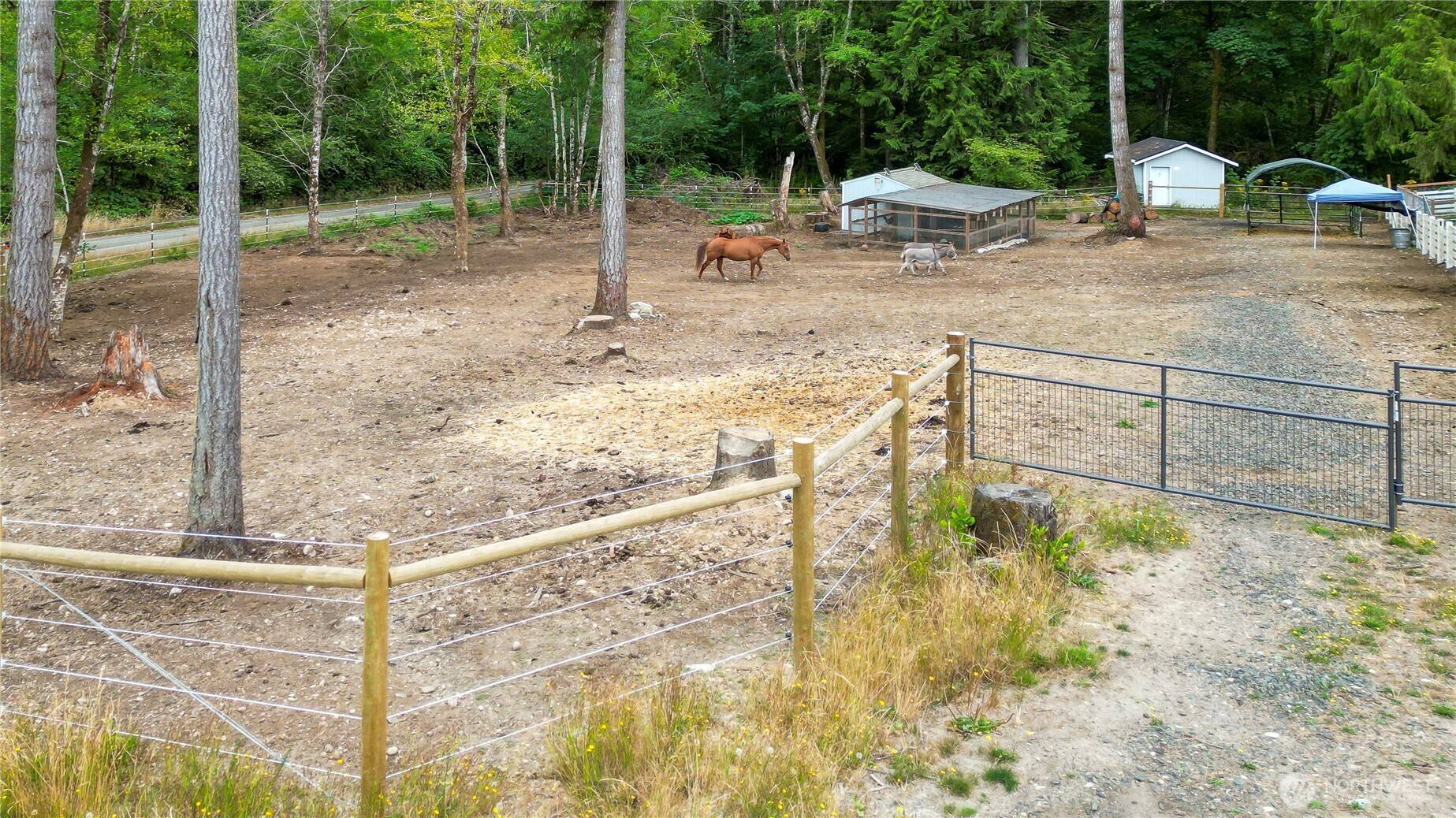 Gig Harbor, WA 98329,13112 Grouse Hollow DR NW