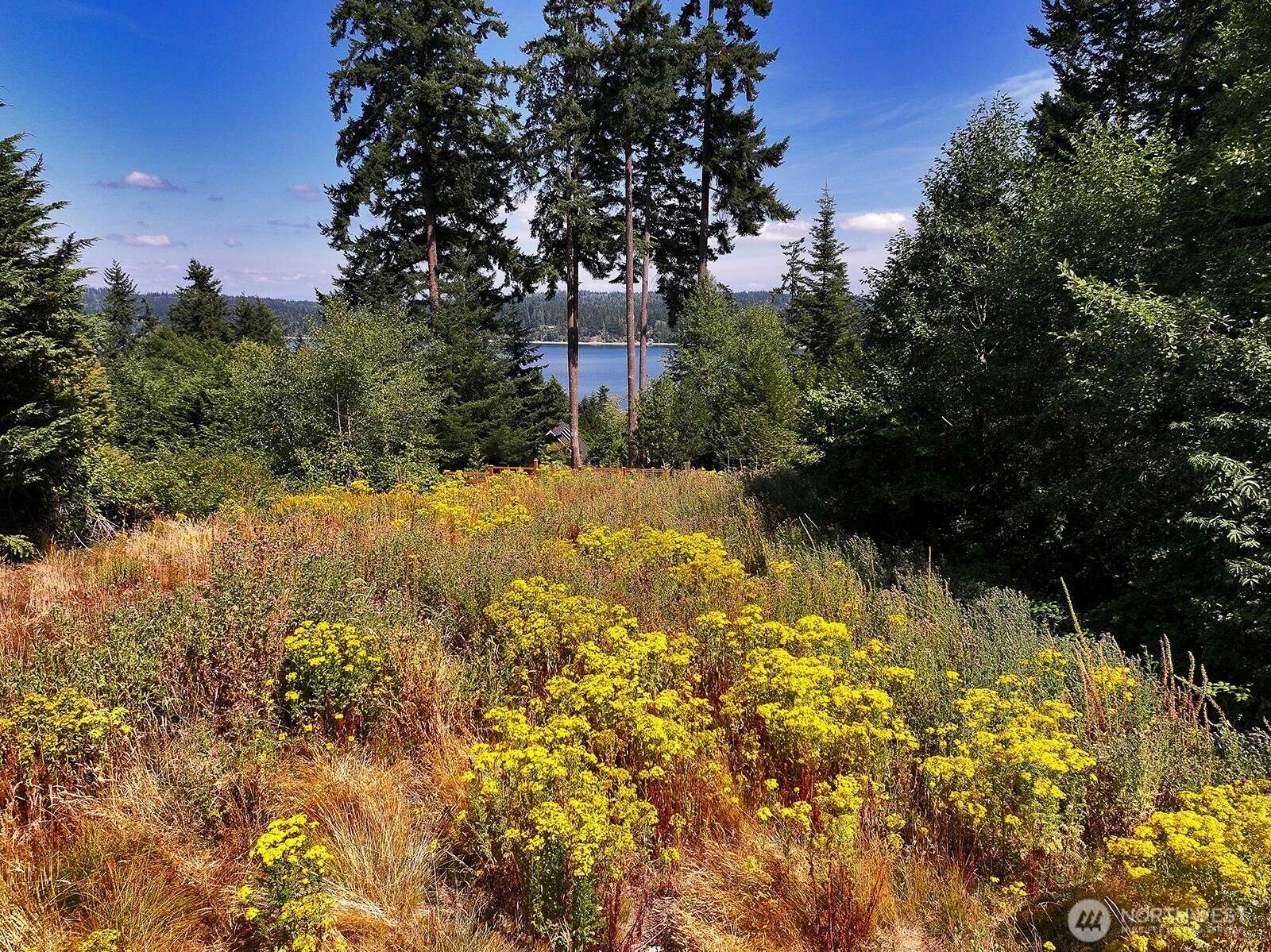 Freeland, WA 98249,0 XXX Honeymoon Bay RD