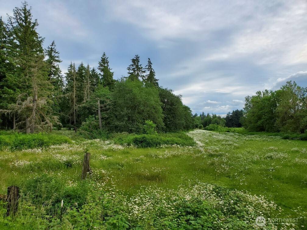 Rochester, WA 98579,17837 Sargent RD SW