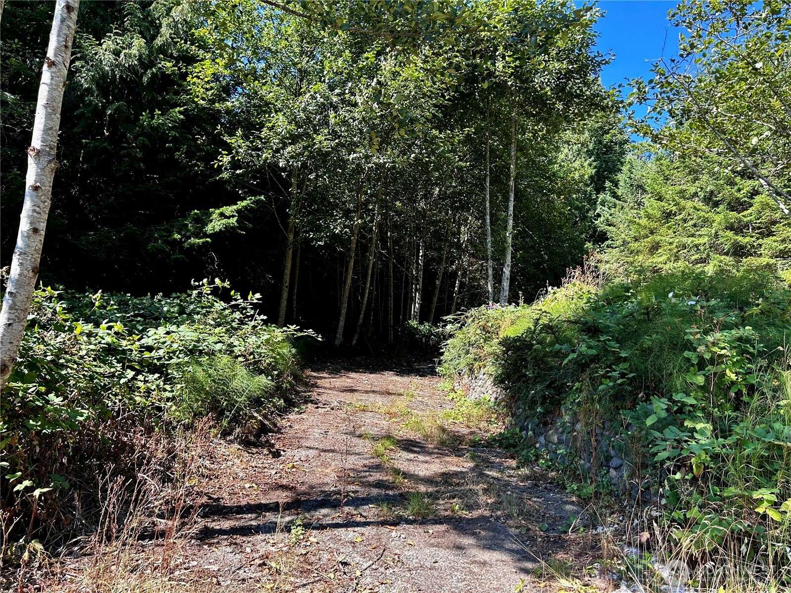 Brinnon, WA 98320,11 Williams CT