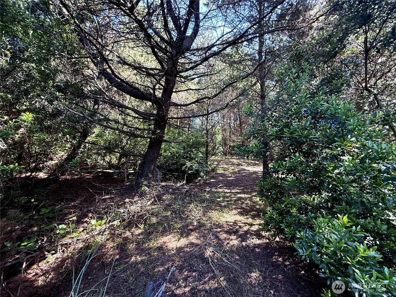 Ocean Shores, WA 98569,361 S Wynoochee DR SW