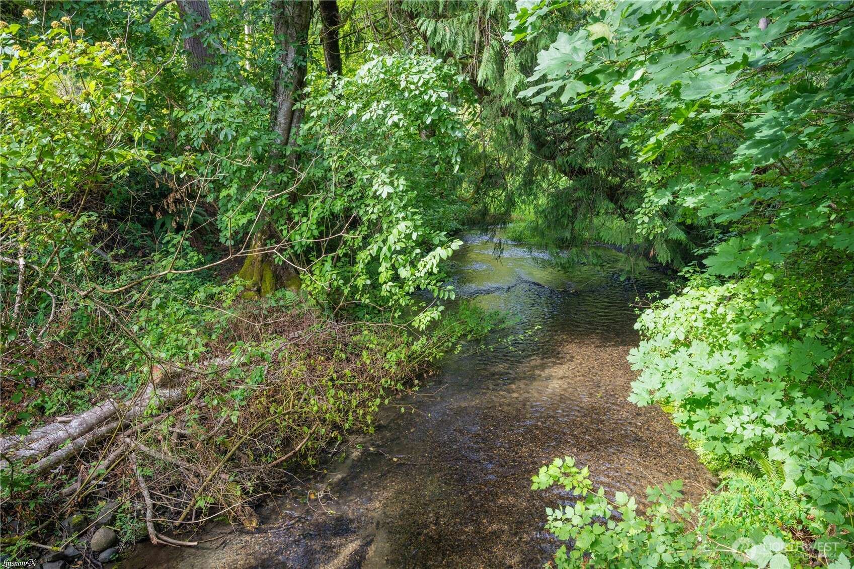 Olympia, WA 98516,2102 Mark ST NE