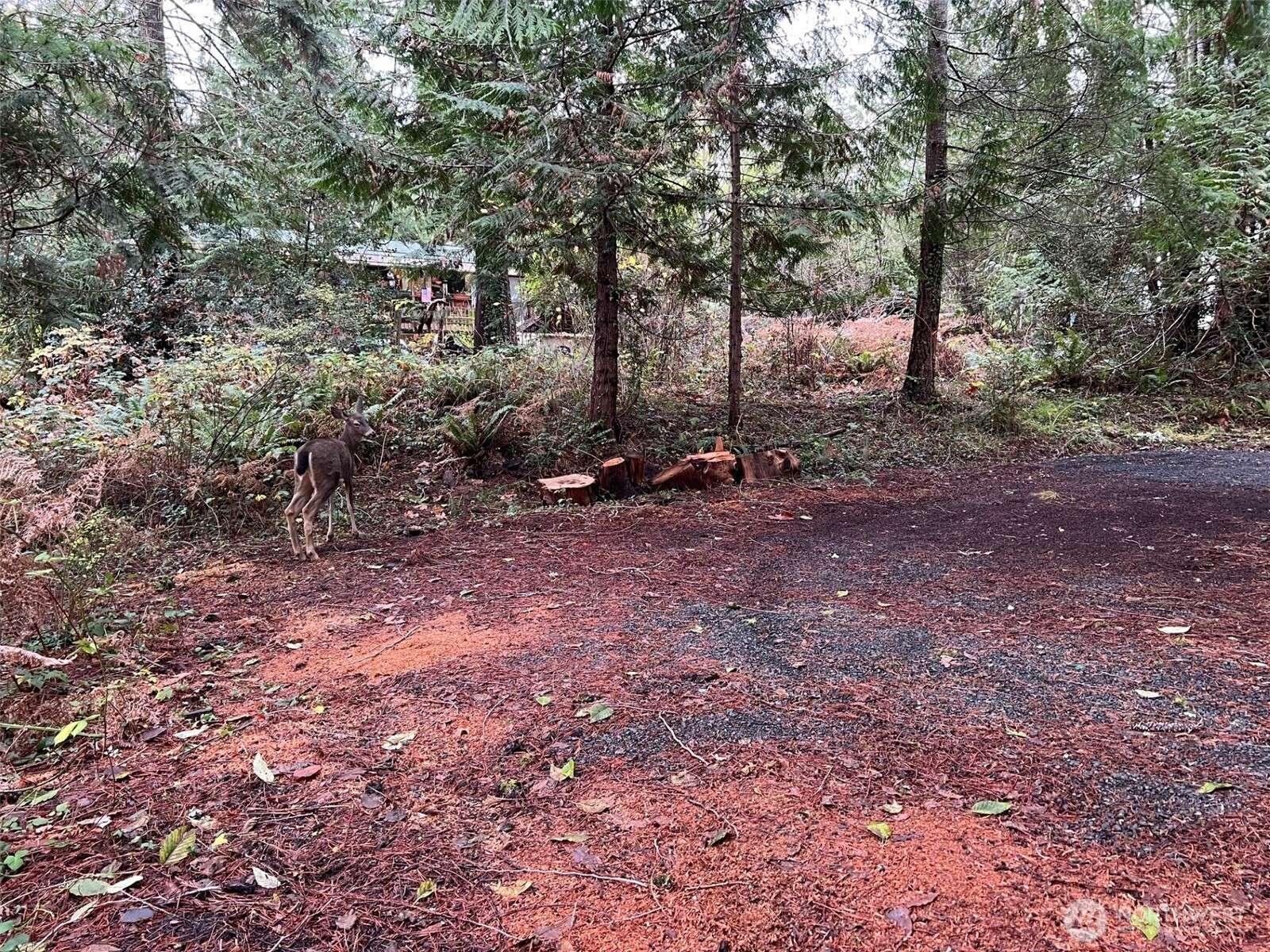 Olympia, WA 98502,2522 Westwind DR NW