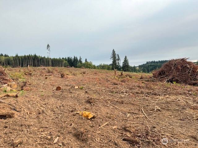 Winlock, WA 98596,120 Woodberry LN