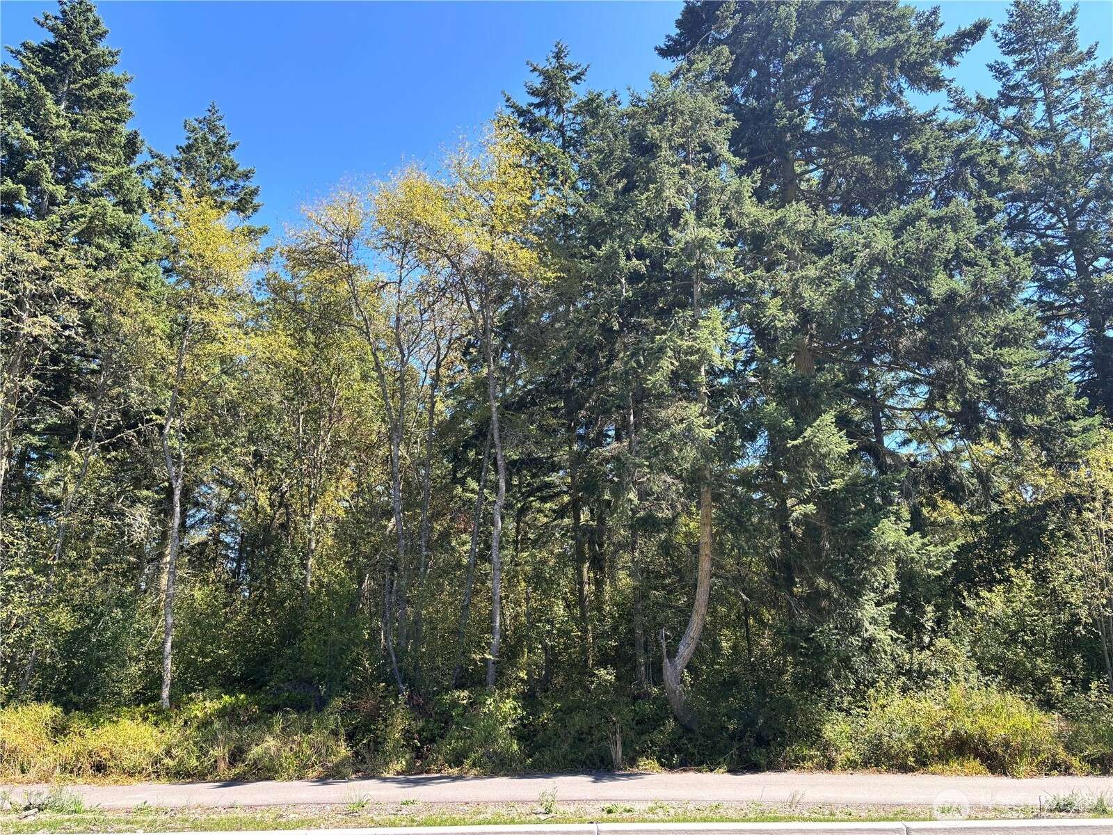 Port Townsend, WA 98368,15 xx Rainier ST