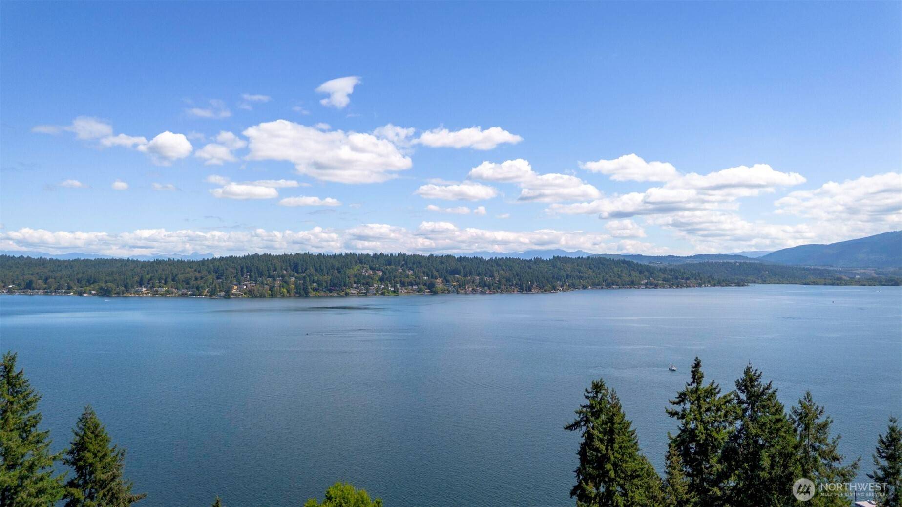 Bellevue, WA 98008,2500 171st AVE SE