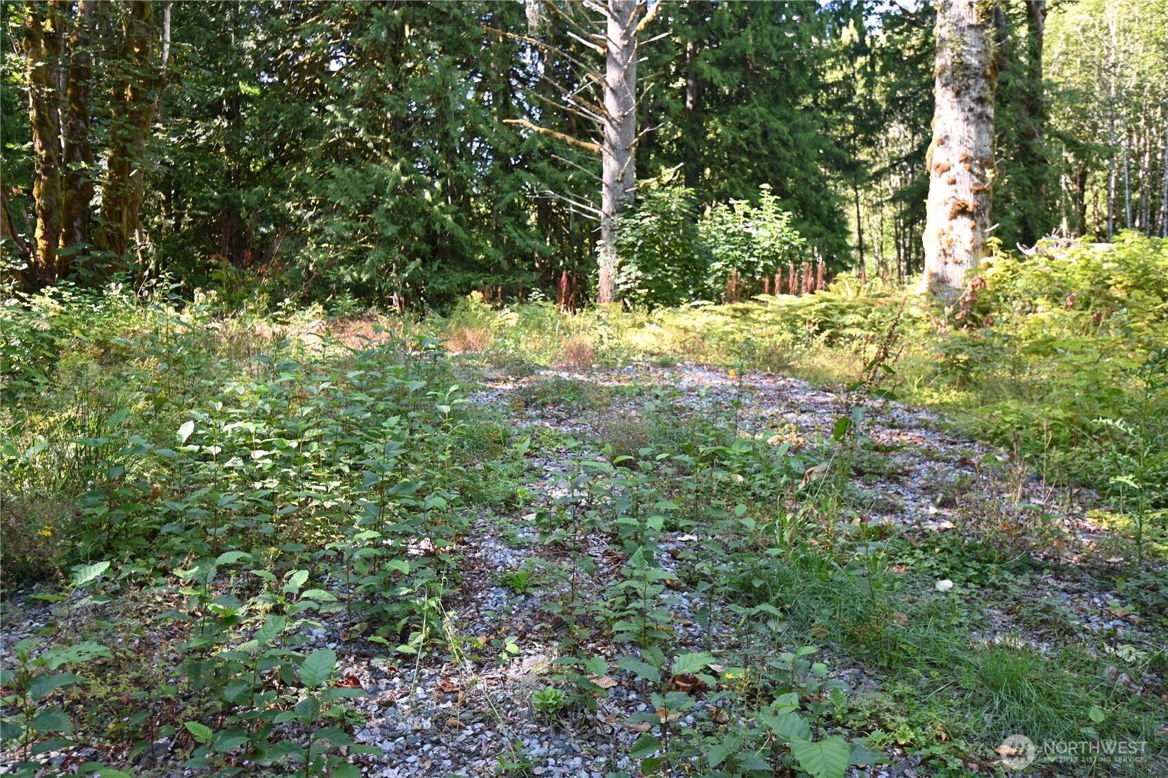 Baring, WA 98224,0 SR 2