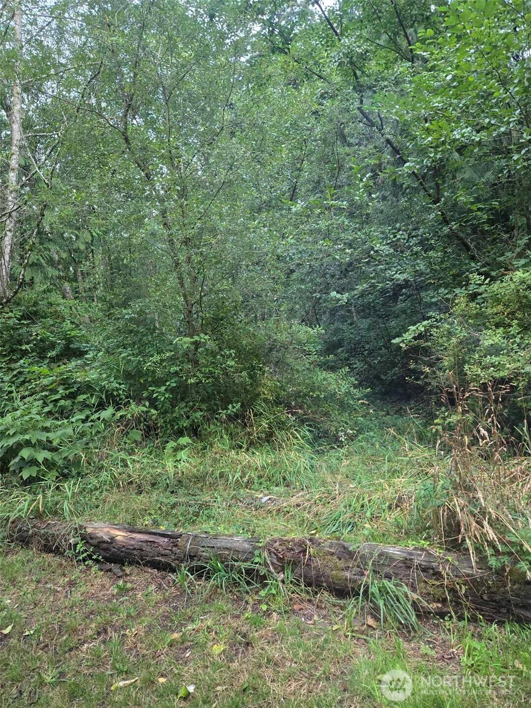 Bow, WA 98232,0 Hobson RD