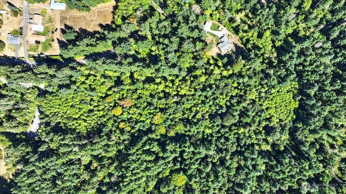 Camano Island, WA 98282,0 Ivy WAY