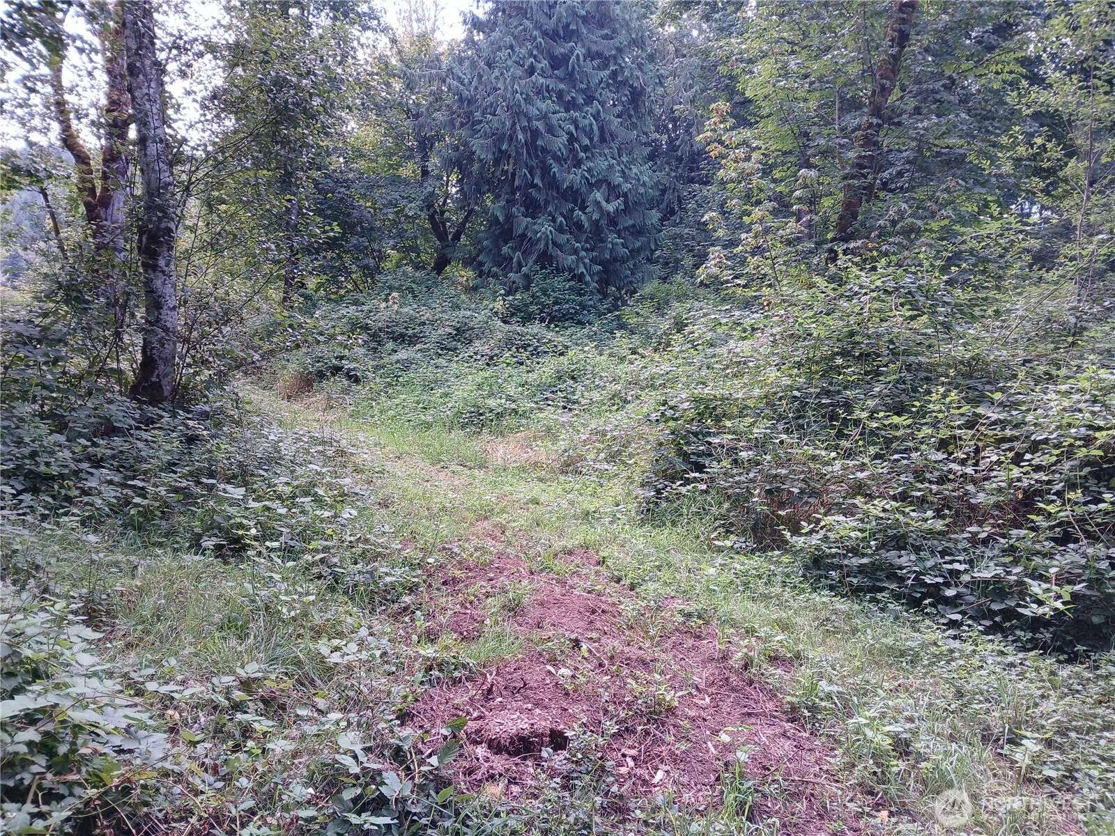 Mossyrock, WA 98564,0 Boyd RD