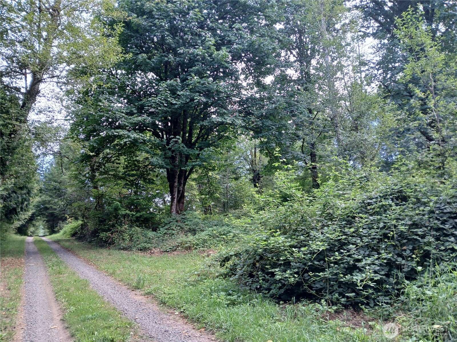 Mossyrock, WA 98564,0 Boyd RD
