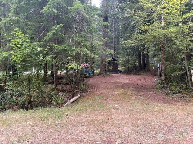 Hoodsport, WA 98548,31 N Kitma