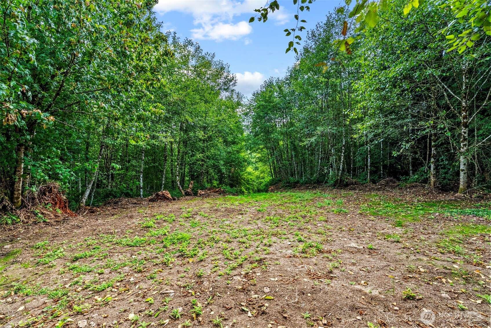 Kelso, WA 98626,0 Mt Brynion RD