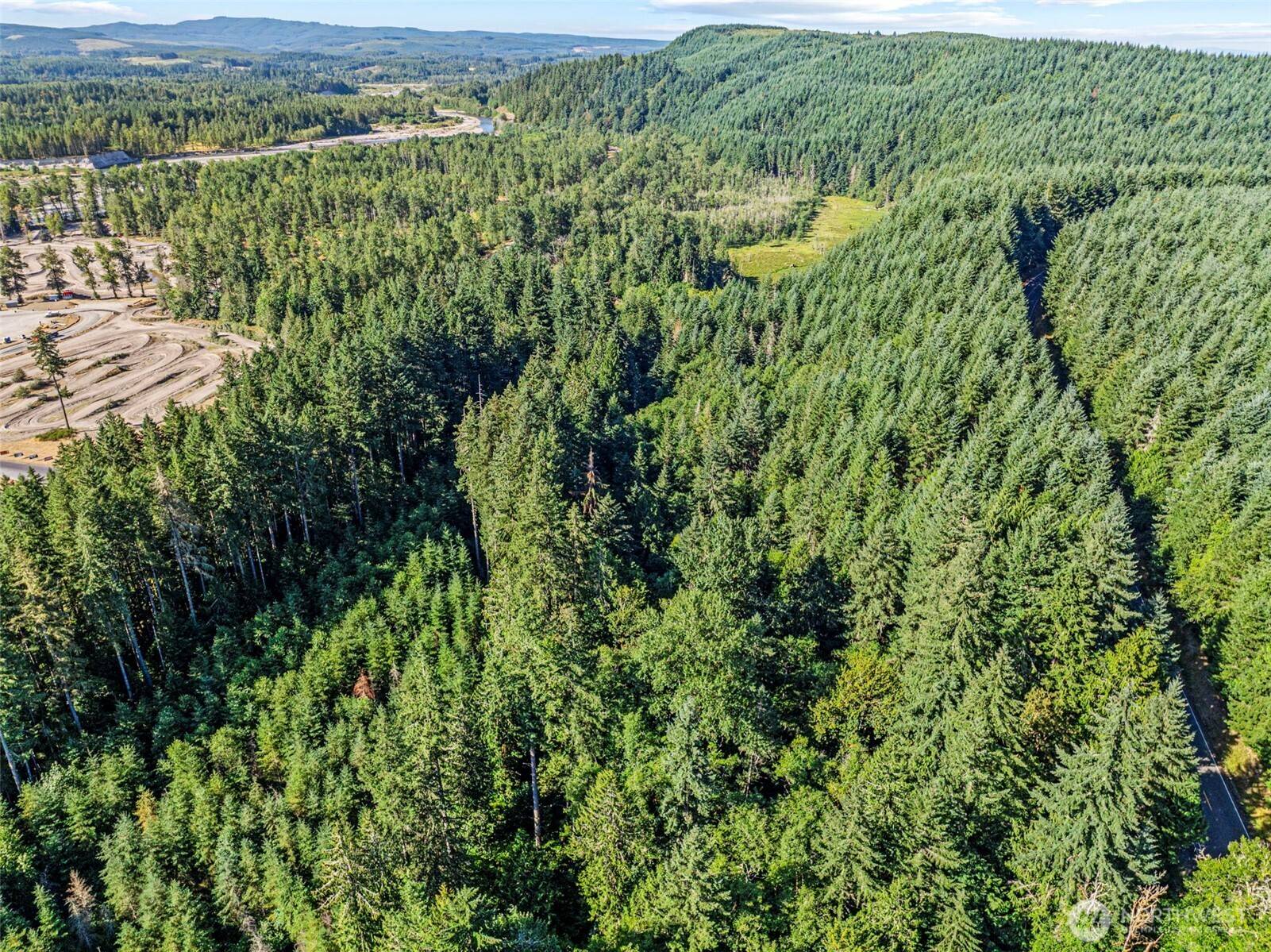 Toutle, WA 98649,0 NKA Tower RD