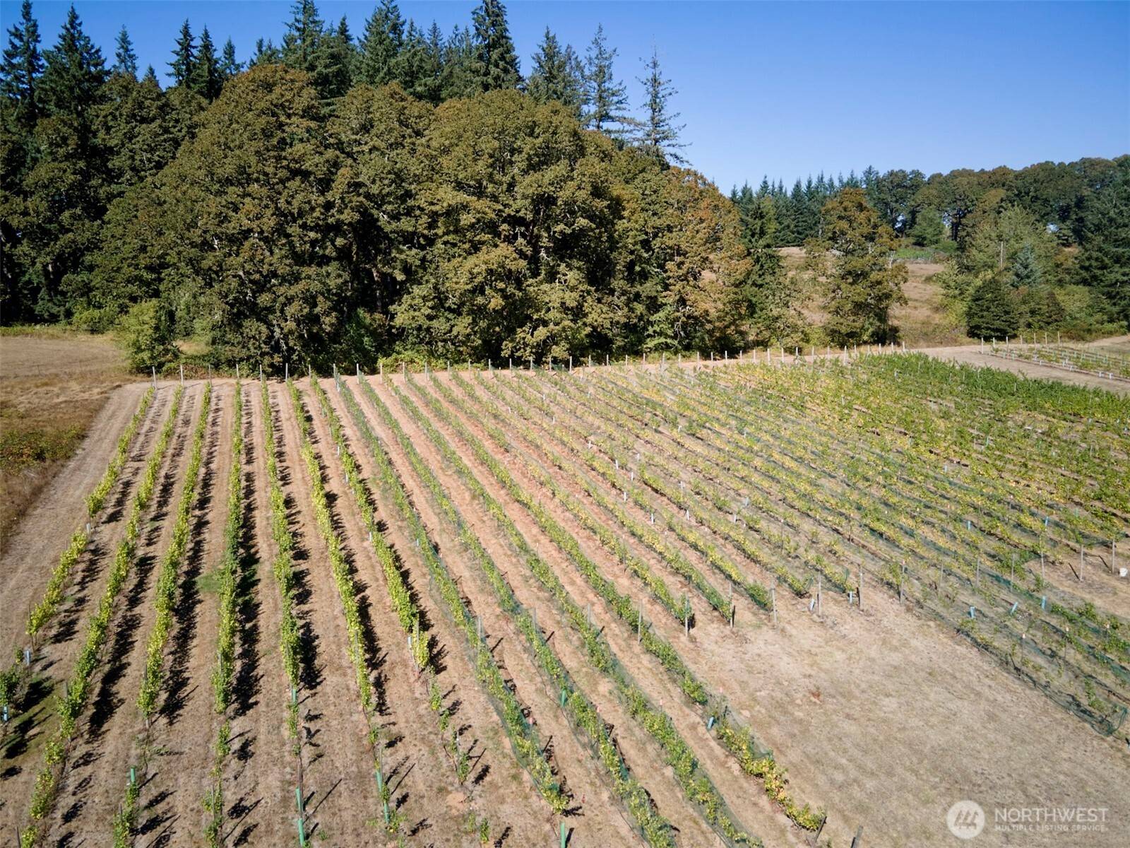 Battle Ground, WA 98604,11700 NE 279th ST