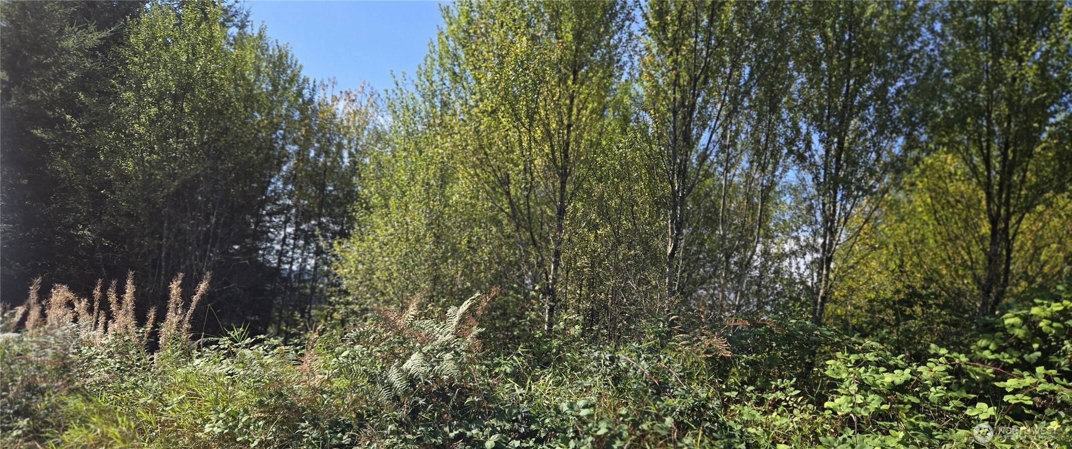 Montesano, WA 98563,0 Fairview CT